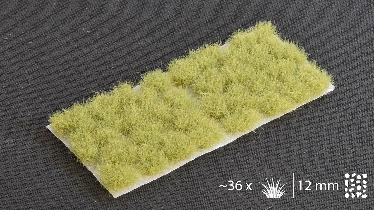 Light Green XL