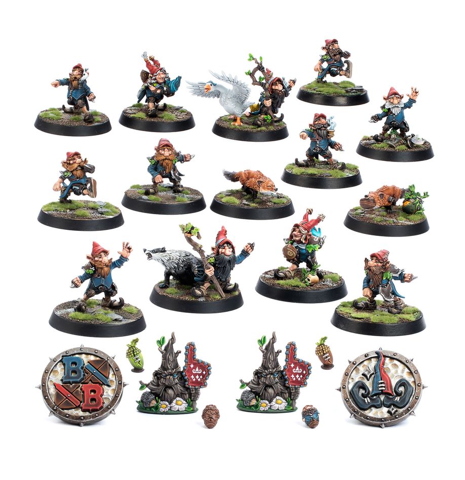 Gnome Blood Bowl Team