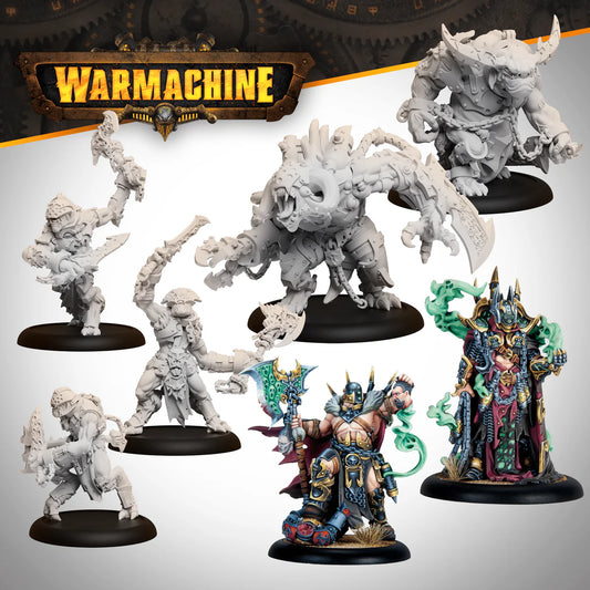 Orgoth Sea Raiders Command Starter - EN