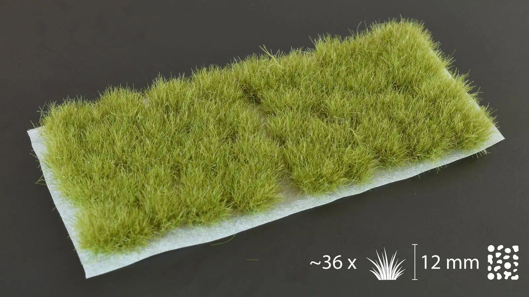 Dry Green XL