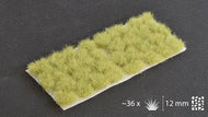 Light Green XL