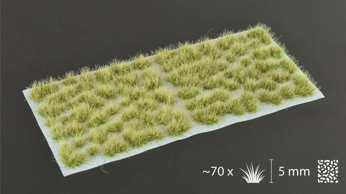Autumn 5MM