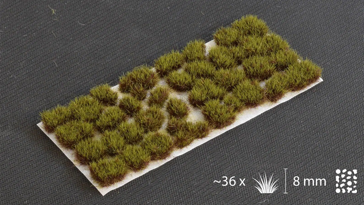 Swamp XL