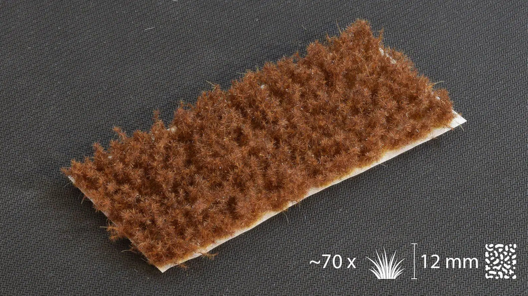 Spikey Brown