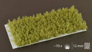 Spikey Green