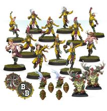 Carregar imagem no visualizador da galeria, Wood Elf Blood Bowl Team
